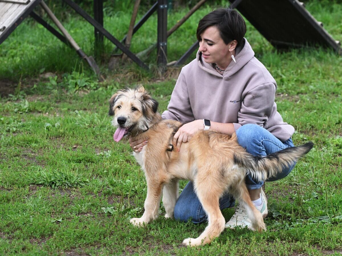    Сотрудница приюта для бездомных животных в Зеленограде на прогулке с собакой© РИА Новости / Михаил Воскресенский