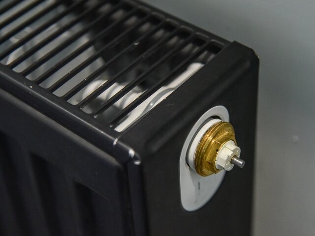    Фото: Москва 24/Антон Великжанин