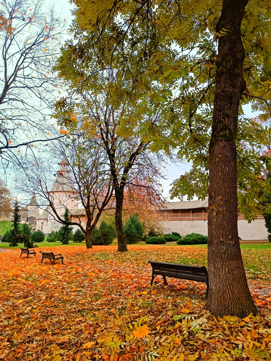 Осенний город