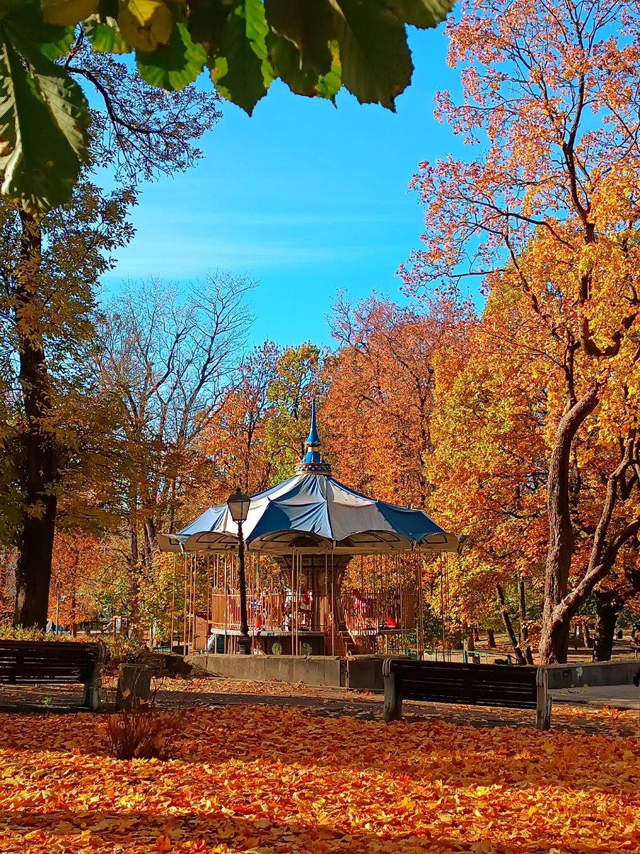 В осеннем парке 