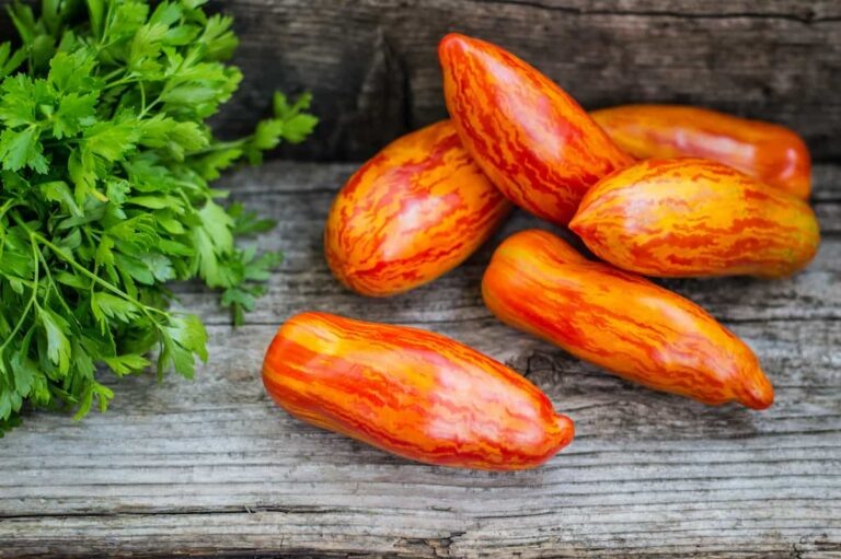 Фото Apple Pie Media LLC