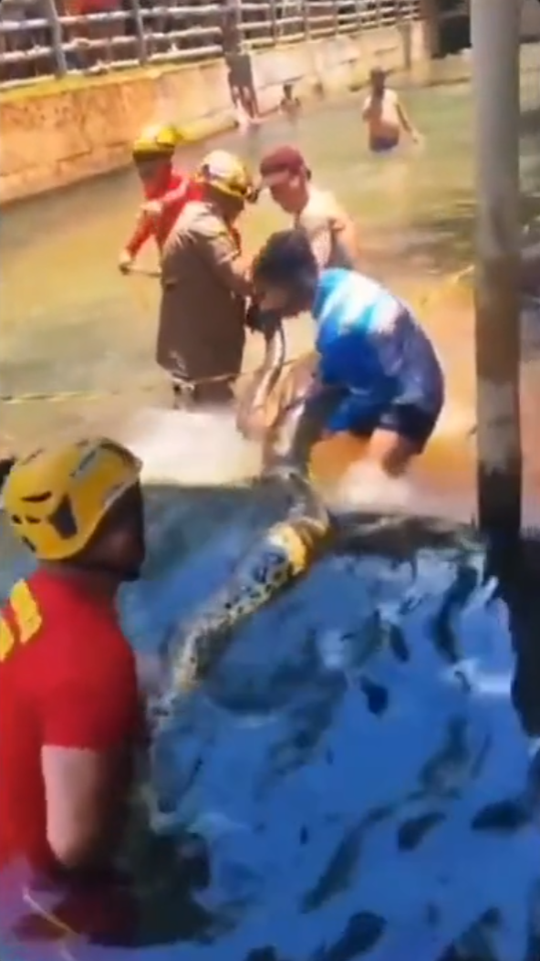    Скриншот What's The Jam