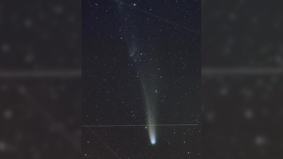    Фото: Катя Стрельникова, Алексей Черенков