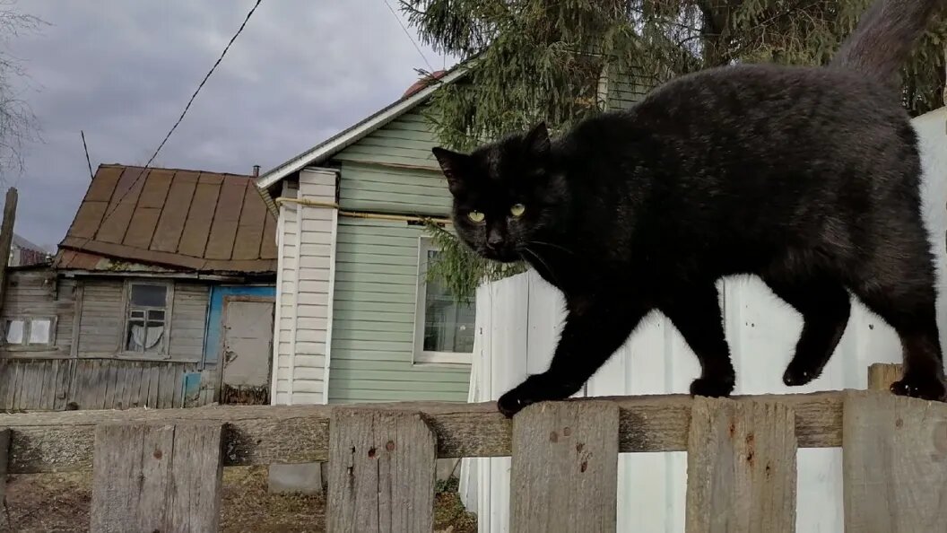   Фото: Олег Рукавицын/Царьград