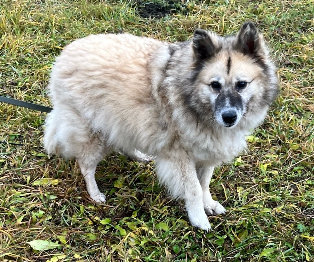 Сентябрь 2025