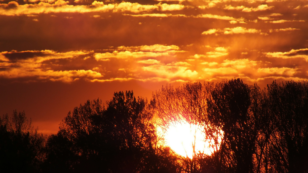    Фото: Victor Lisitsyn/Global Look Press