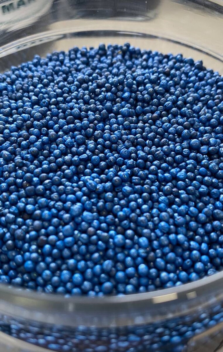 Очистка семян с использованием оптического сортировщика позволяет добиваться 99,9% чистоты продукта.  По желанию заказчика семена могут быть инкрустированы инсектицидом.