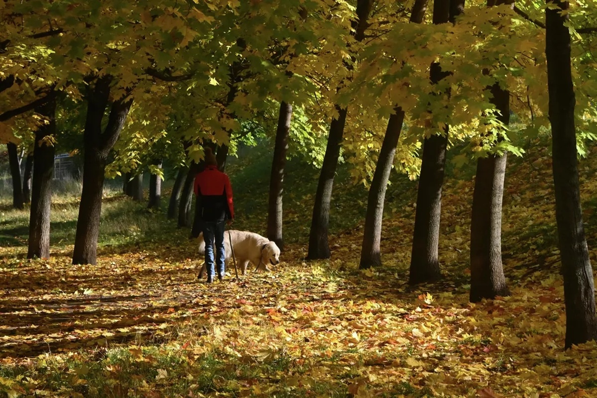    Фото: Владимир Федоренко, источник РИА Новости