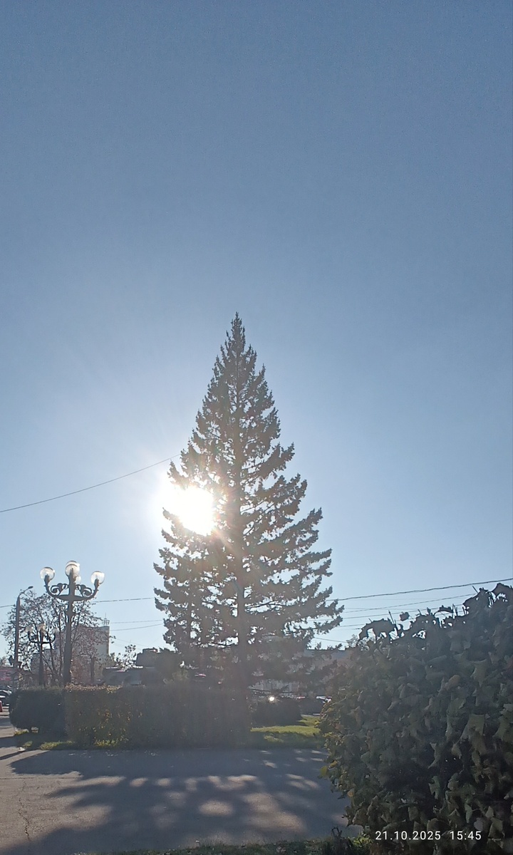 Где-то на просторах моего города. Фотография автора, октябрь 2025 года. 