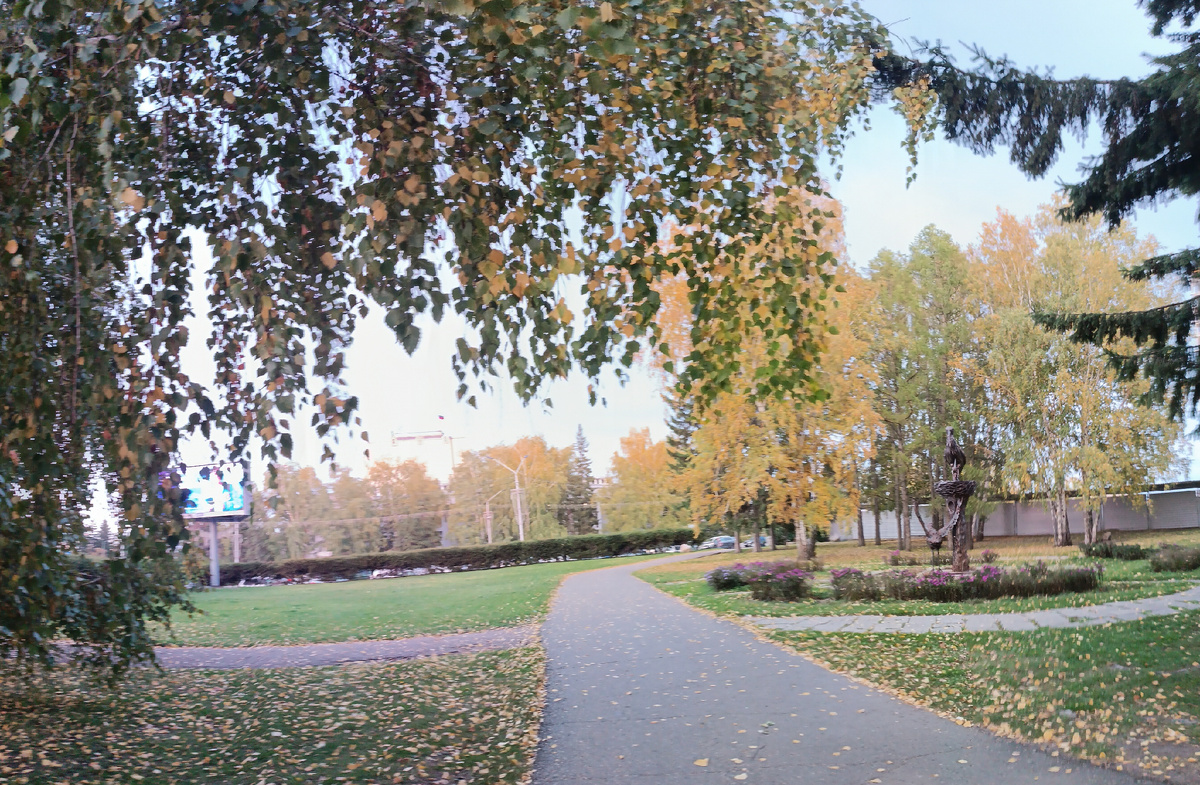 Где-то на просторах моего города. Фотография автора, октябрь 2025 года. 