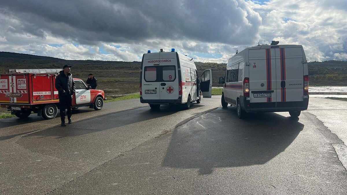    Фото: t.me/Gavrikovzam