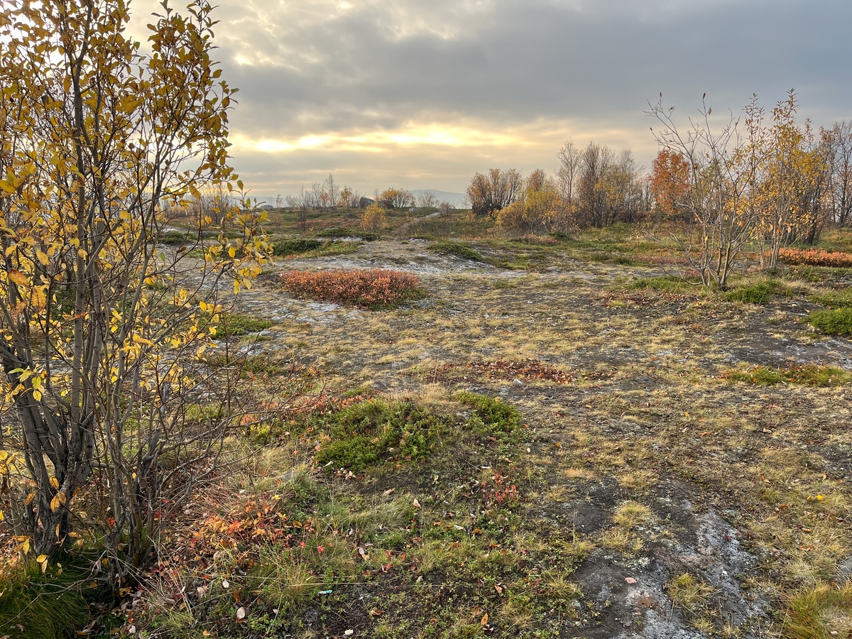    Ноябрьский сюрприз: жителей Центральной России ждёт необычно тёплая погода - детальный прогноз на последний месяц осени