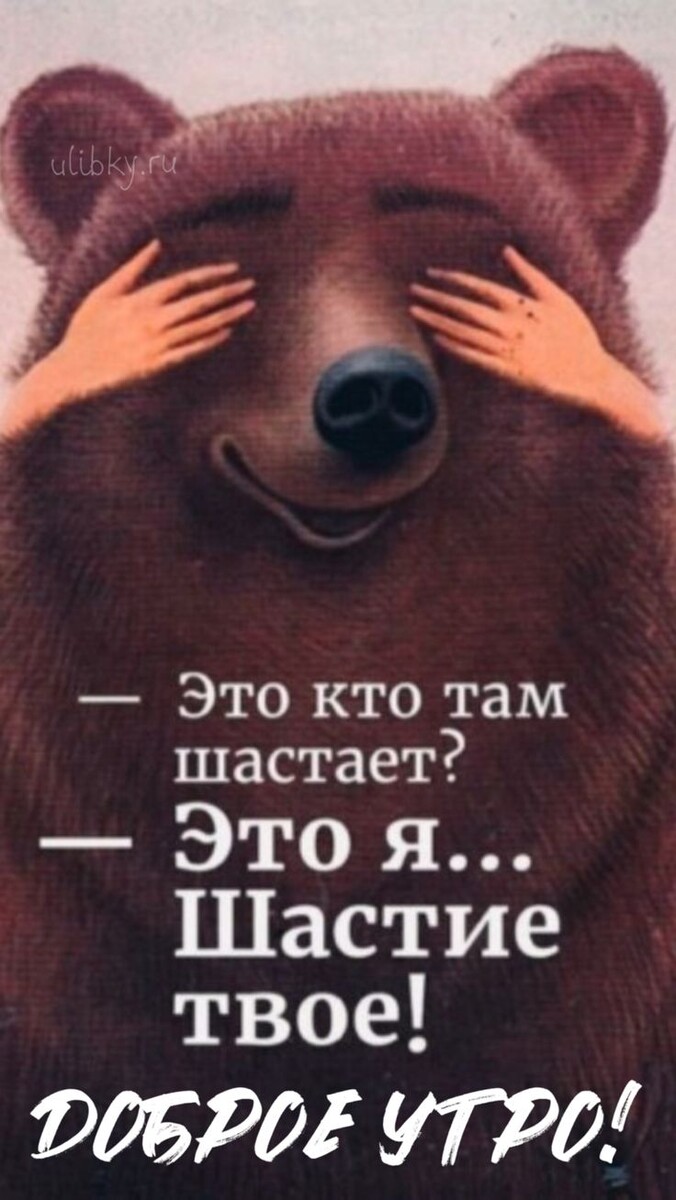 Фото интернета