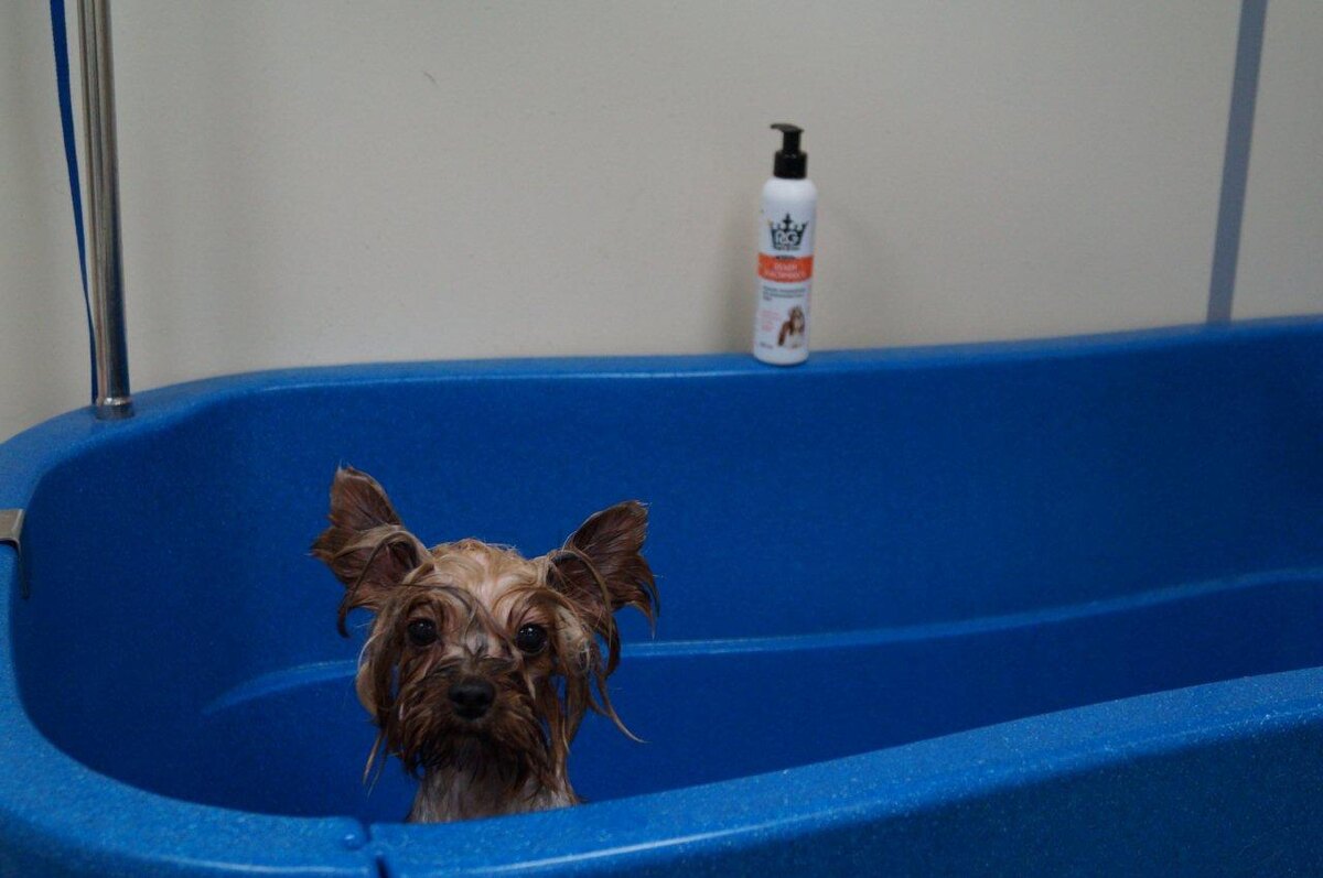 ...привет, вы кто?...