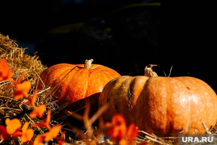    В студии «Арт-Квартира.86» 25 октября пройдет тыквенная арт-вечеринка для детей