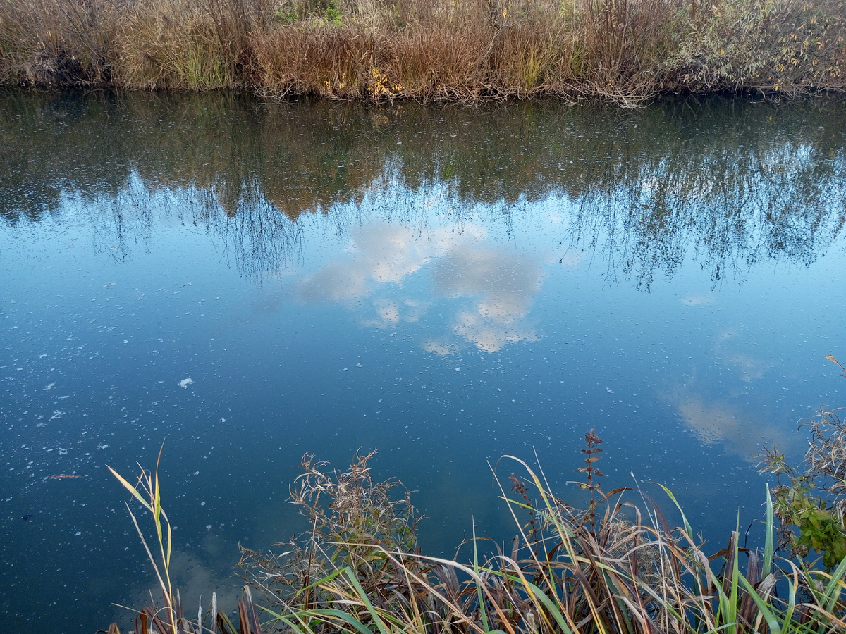 Грустная осень. Речка Ирючка. Фото автора.