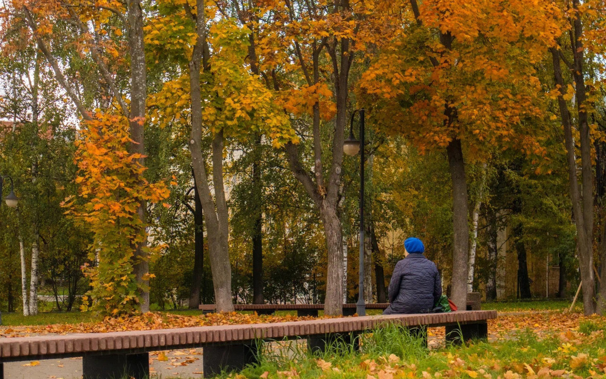    Главные новости Ижевска на утро 22 октября: друг-убийца и лесные рейды