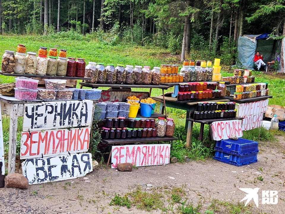    Фокус в том, что излишками продукции со своего участка можно торговать на дому без специального разрешения. Владимир ВЕЛЕНГУРИН