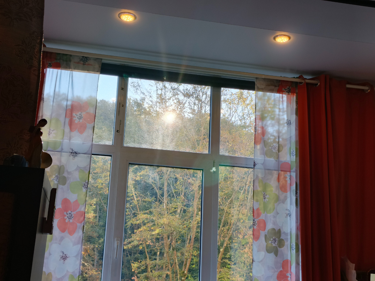 Сочи, Адлерский район, с. Орёл-Изумруд, утро 22 октября 2025 г.