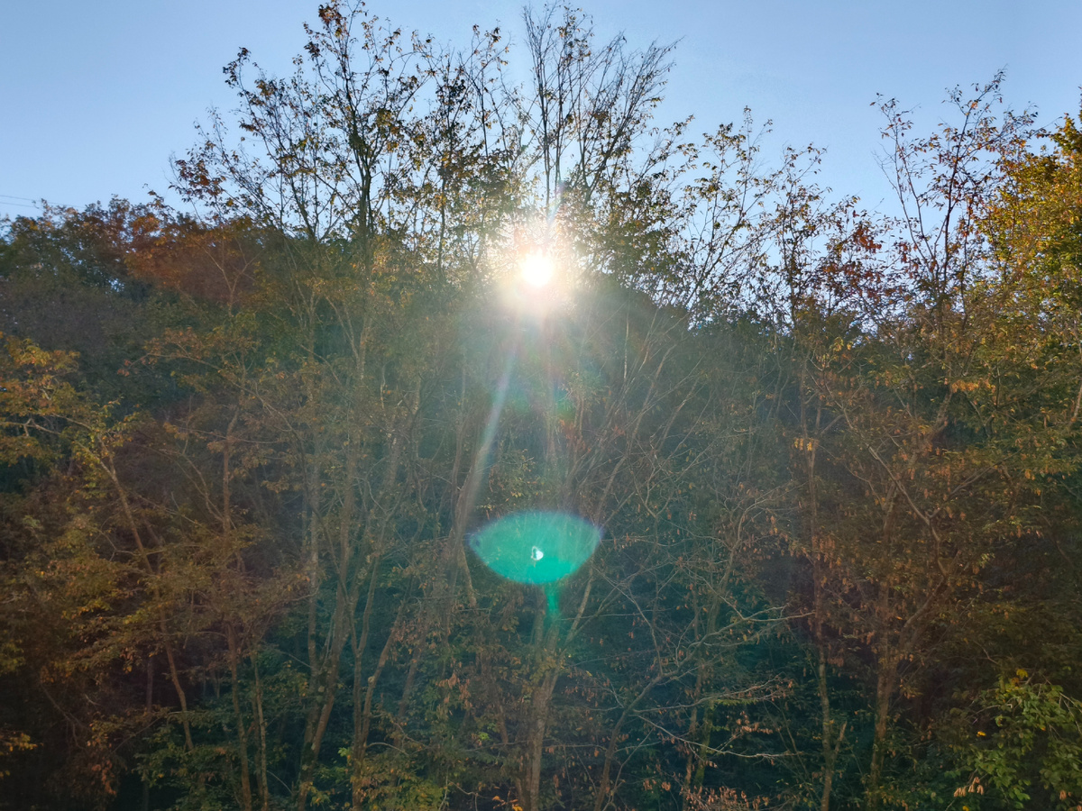 Сочи, Адлерский район, с. Орёл-Изумруд, утро 22 октября 2025 г.