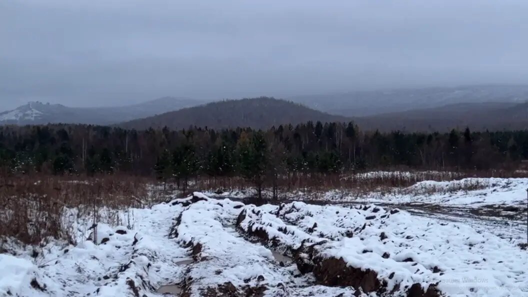    Фото: СУ СКР по Красноярскому краю