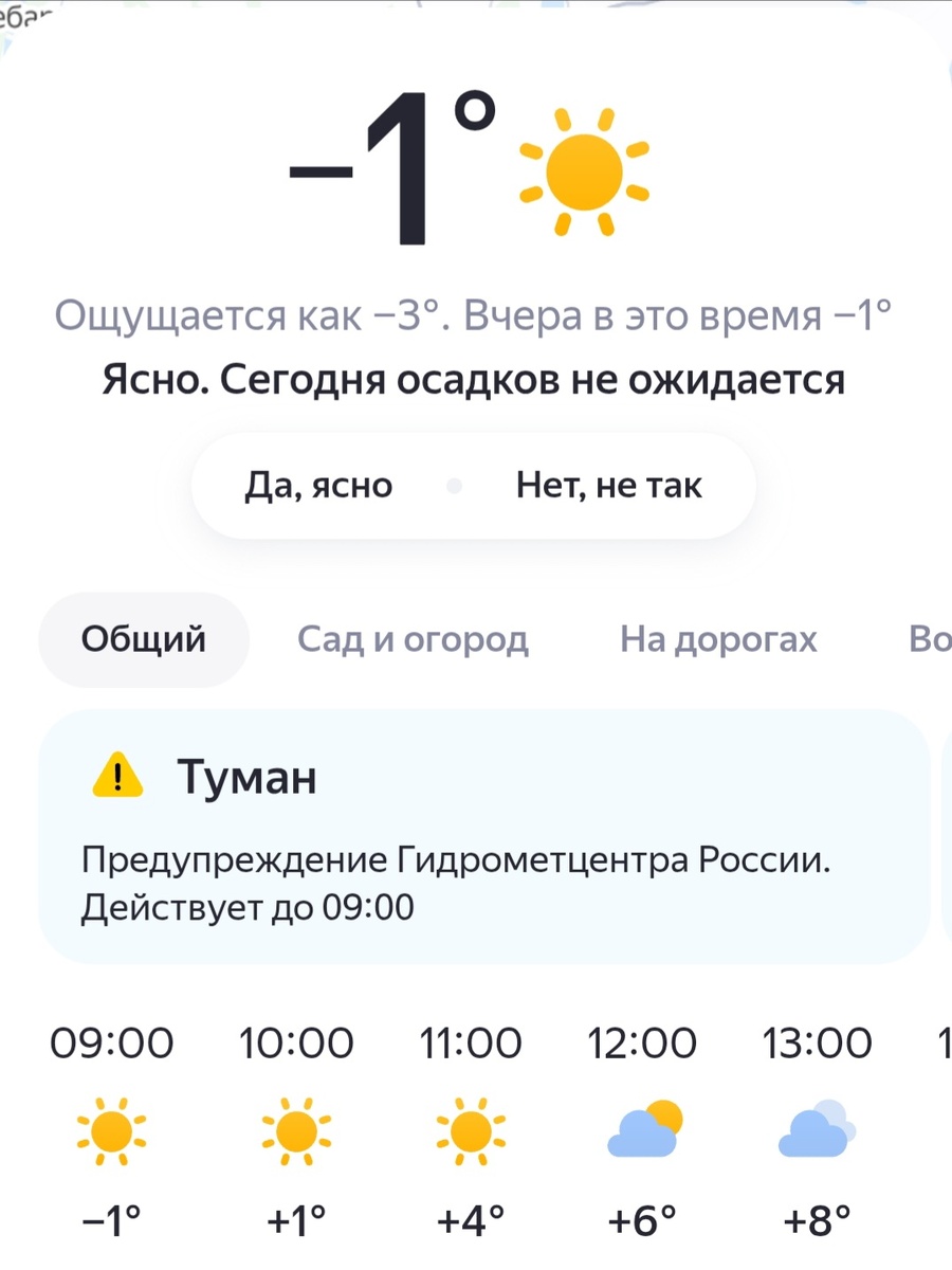 У нас который день туманные утра. Скрин приложения