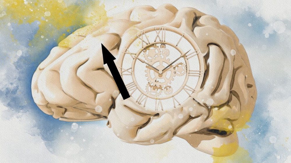    Почему с возрастом время кажется быстро ускользающим