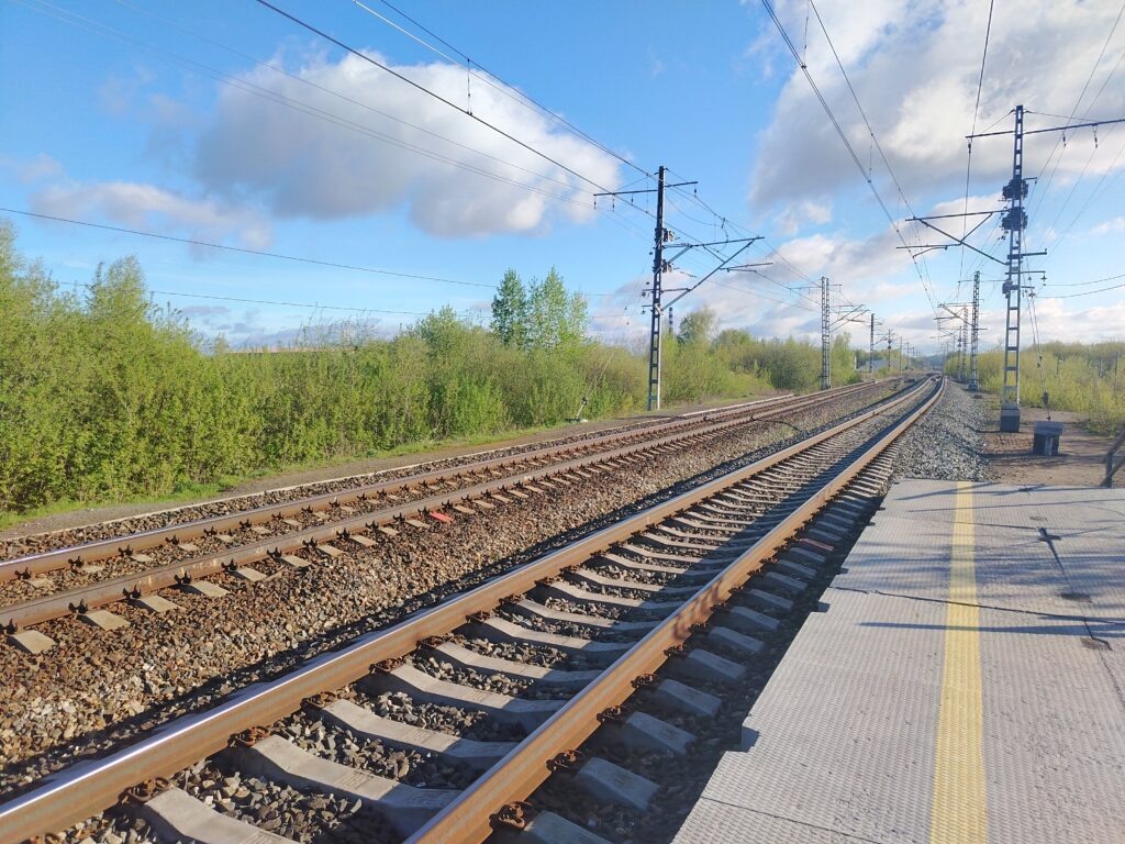    Фото: В курсе.ру Полина Анкушина