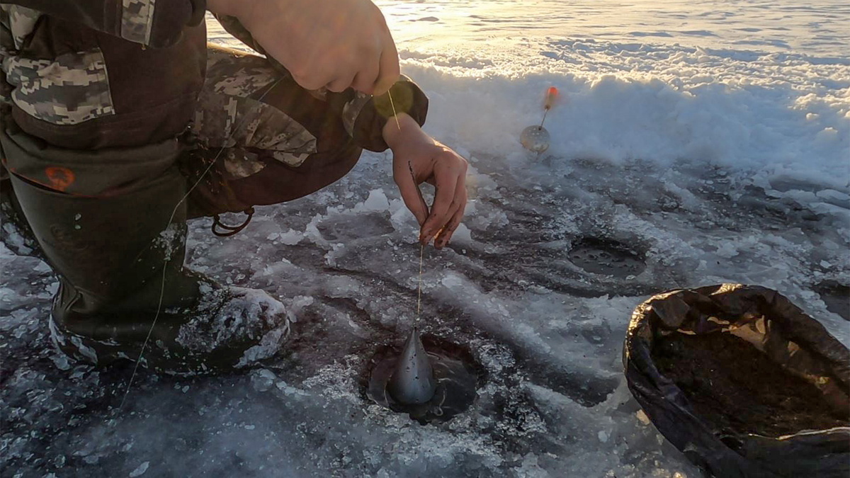 Прикармливаем точку