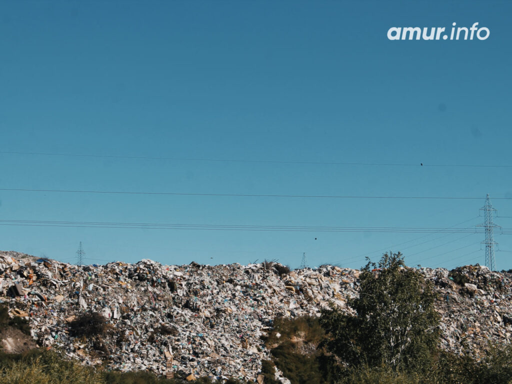    Фото: Амур.инфо