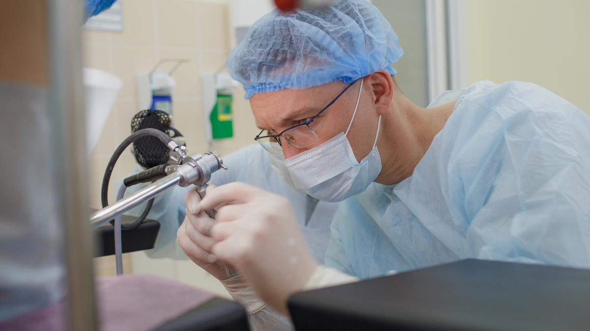 Не терпеть. Действовать: проктология простыми словами и без ужастиков