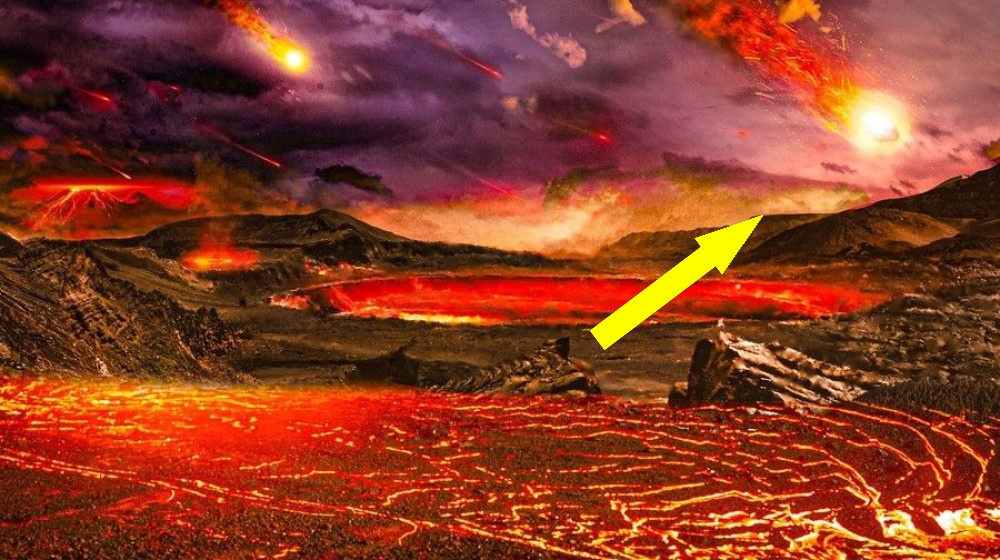    Учёные нашли первые прямые доказательства сохранения остатков протоутра в современном мире