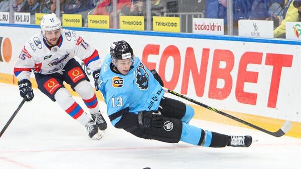    © Photo : "ВКонтакте" / ХК "Динамо-Минск"