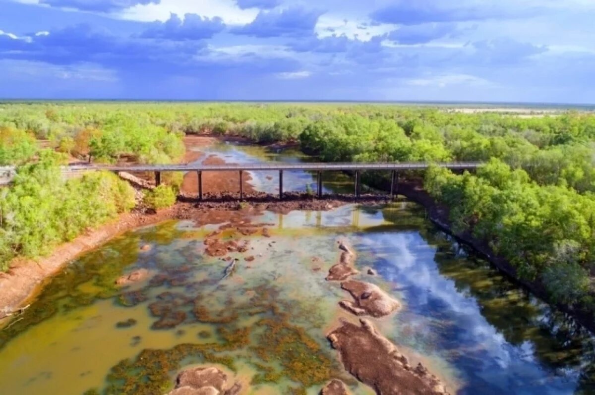    Реку с крокодилами в Австралии признали пригодной для соревнований на ОИ