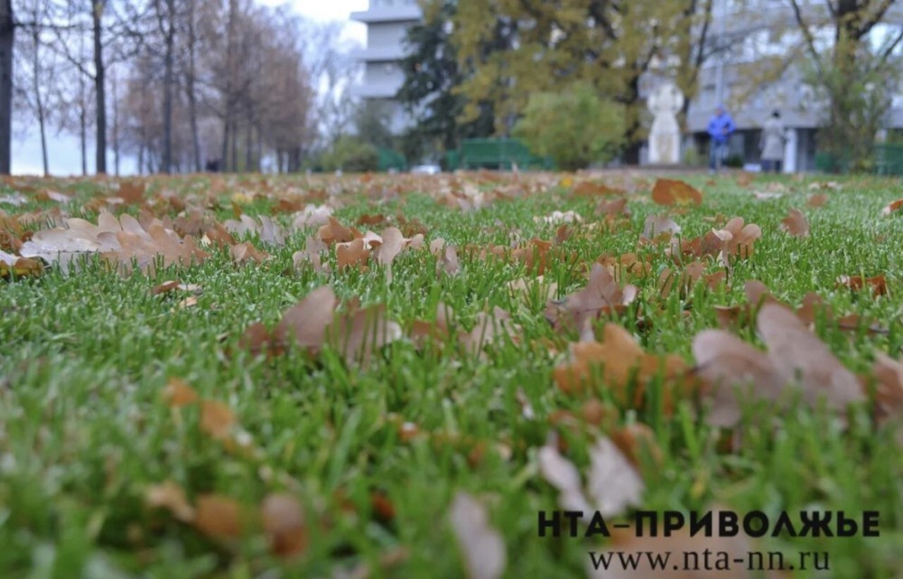    Народные приметы: 22 октября