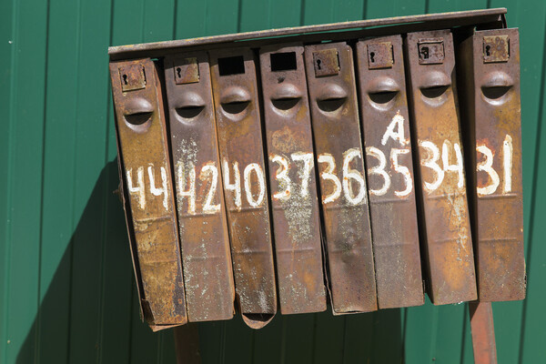 Алексей Смышляев/Global Look Press  