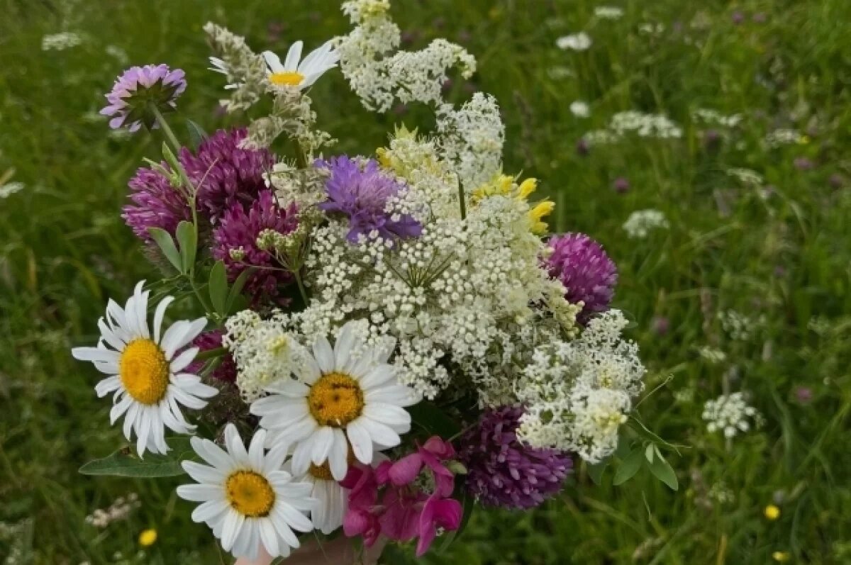    В Калининградской области владельцы сельхозземель устранили нарушения