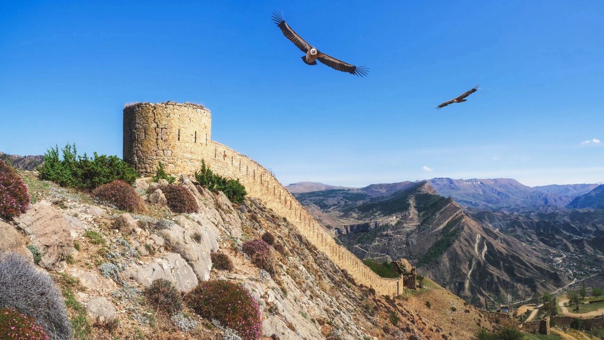    Фото: Stanislav71/Shutterstock/Fotodom