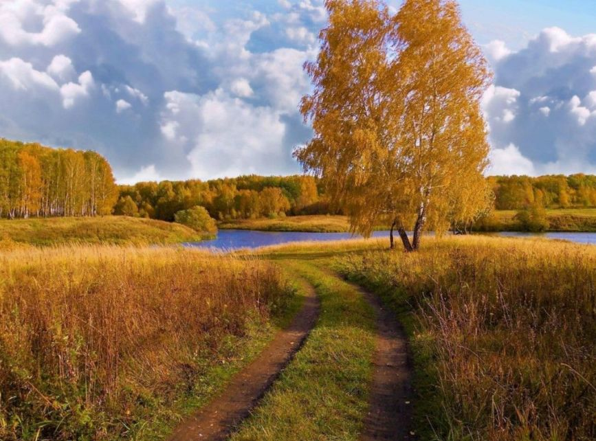 Фото из семейного архива Михаила Кудрявцева.