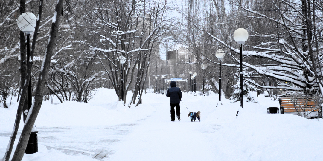 Это только мой сын