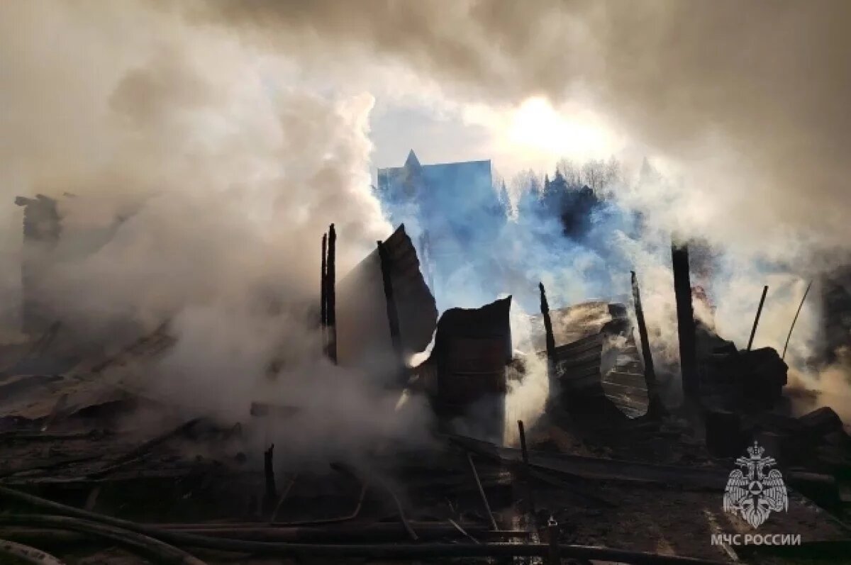    В Ханты-Мансийске пожар уничтожил несколько строений в СОК «Стрижкино»
