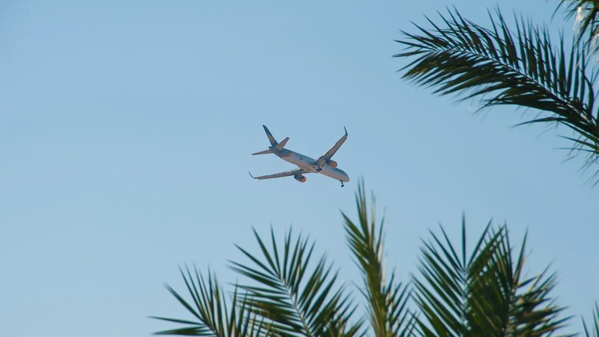    Фото: vm.ru Олеся Шмелева