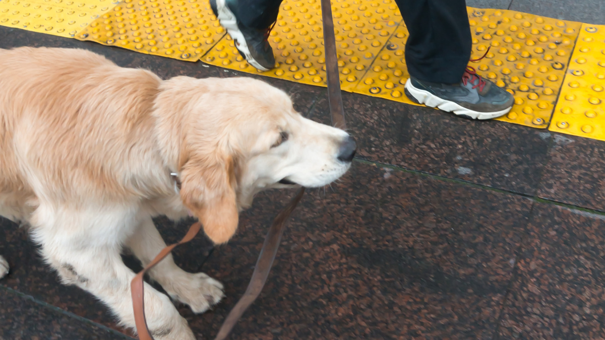 Если уж вам приходится использовать запрет, делайте это со всей отдачей, что называется, от души. Фото Александр Смирнов