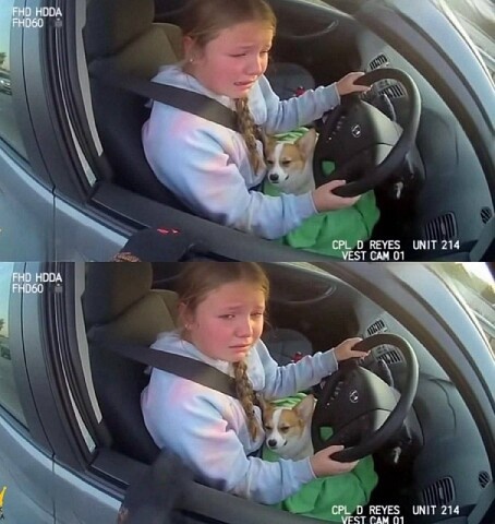 Хвалить или ругать за спасение больного щенка?