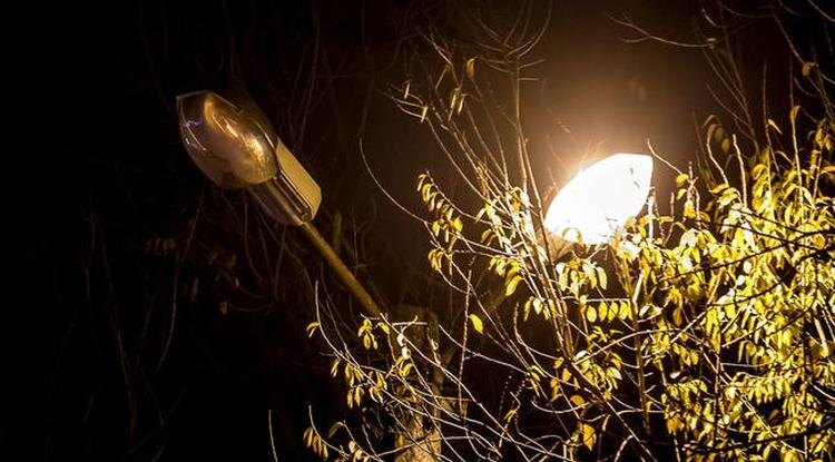 Фото: Павел Колядин (архив)