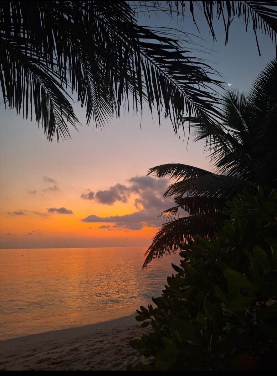 Закат может наступить быстро, если интернет решит, что ты больше не нужен