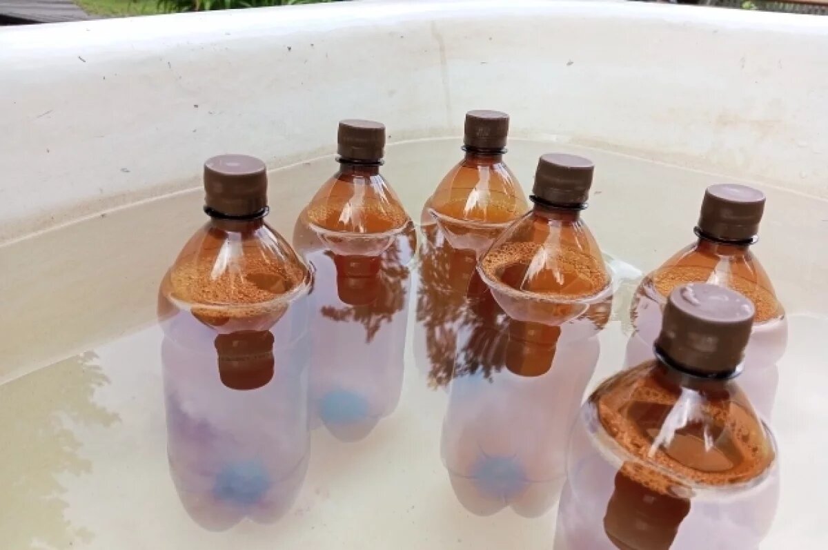    Свердловская область стала лидером по употреблению алкоголя