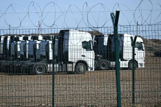    Фото: lenta.ru Оливия Ильинская