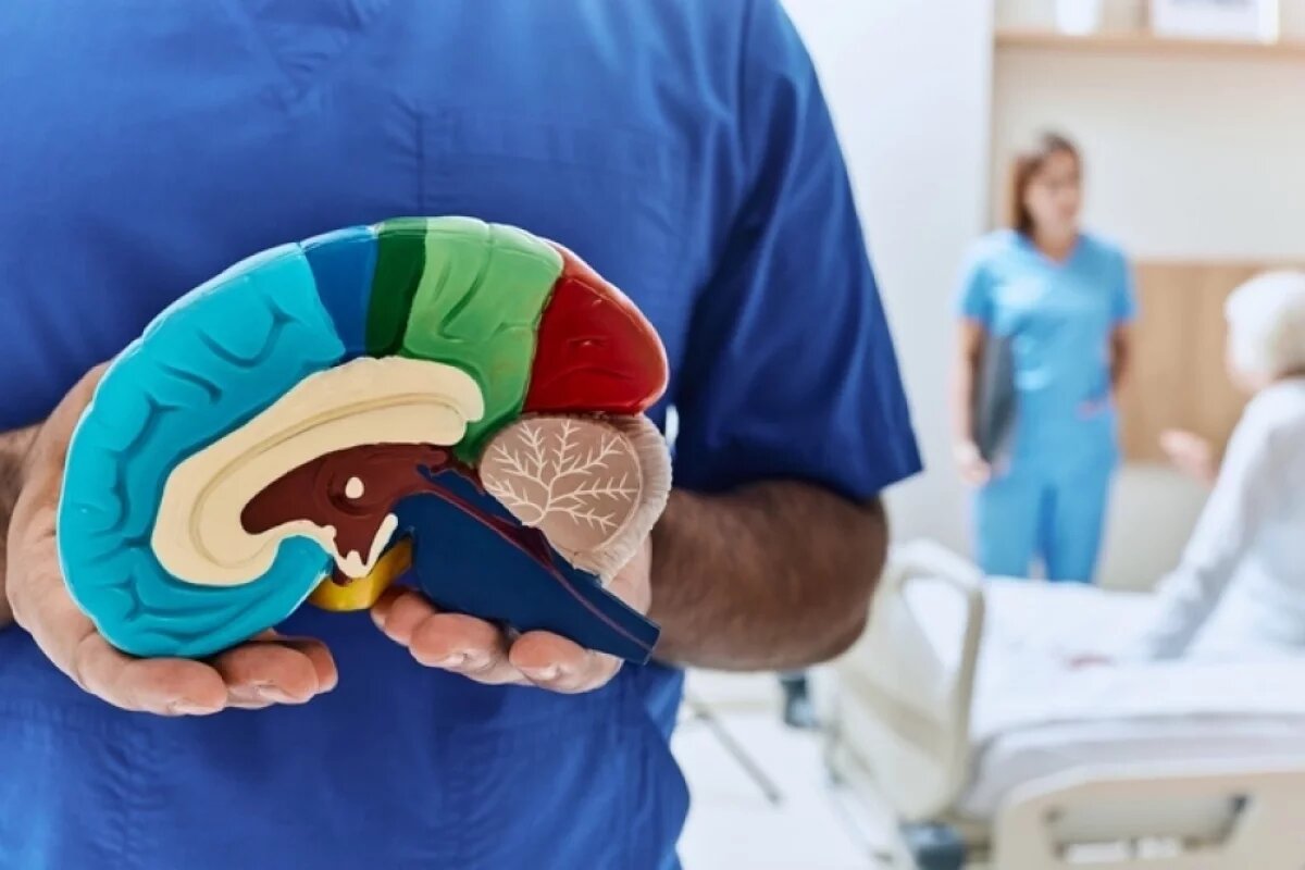    Деменция встречается не только при болезни Альцгеймера. Например, она бывает сосудистой.