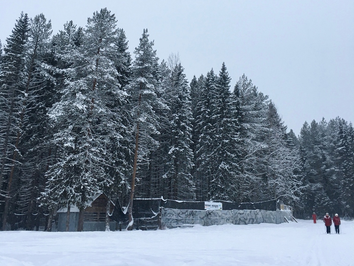    Заметет снегом и ударит волной мороза: погода принесет Центральной России неприятный сюрприз